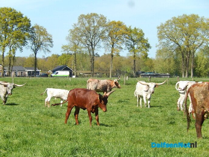 Deze kwamen we nog tegen - Foto: Willy