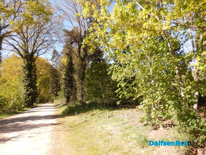 Prachtig voorjaar in Dalfsen