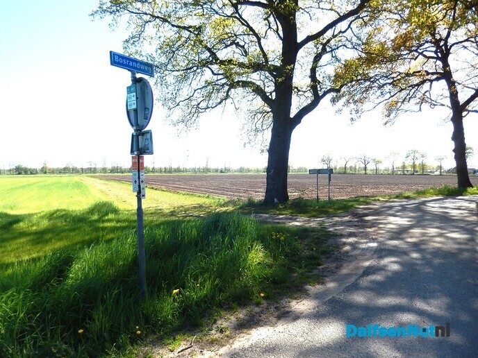 Prachtig voorjaar in Dalfsen - Foto: Willy