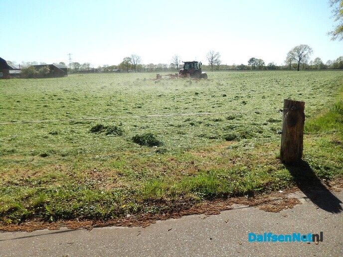 Prachtig voorjaar in Dalfsen - Foto: Willy