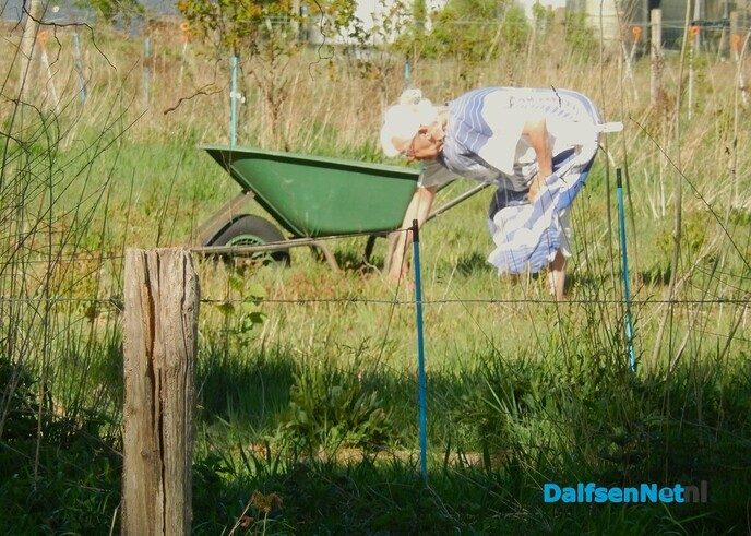 Prachtig voorjaar in Dalfsen - Foto: Willy