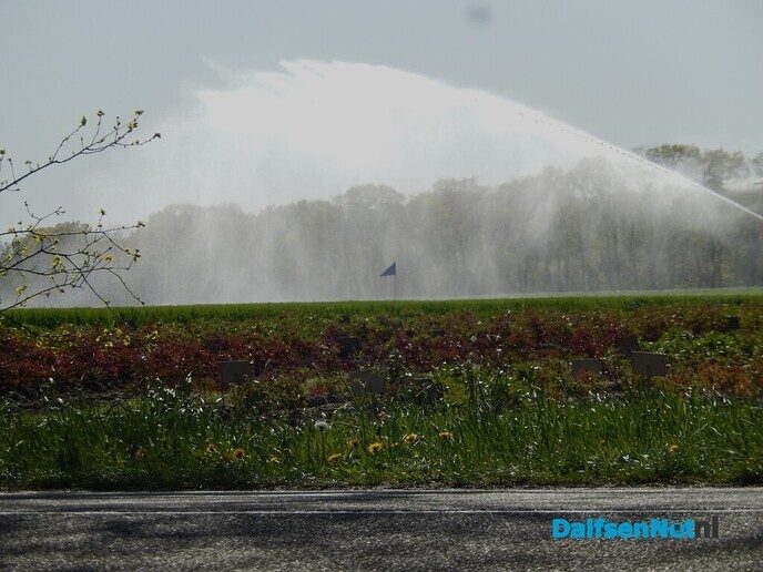 Prachtig voorjaar in Dalfsen - Foto: Willy