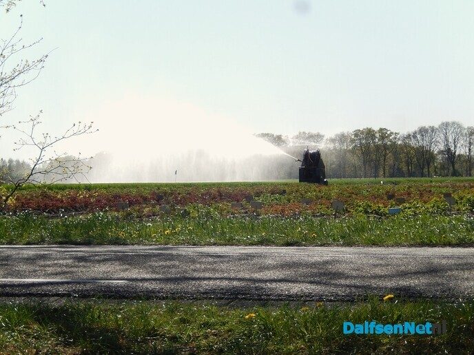 Prachtig voorjaar in Dalfsen - Foto: Willy