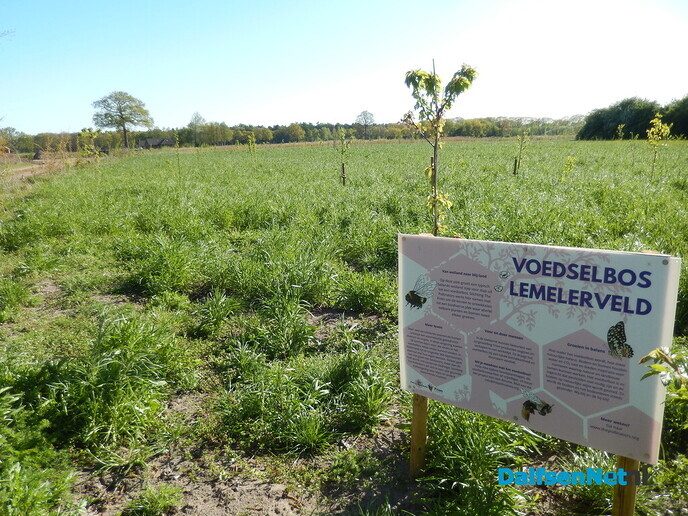 Opening Strenkhaarshoeve - Foto: Willy