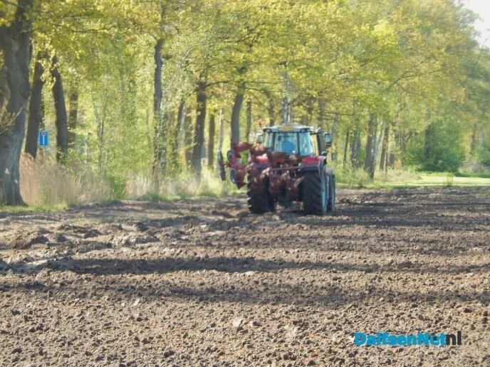 Prachtig voorjaar in Dalfsen - Foto: Willy