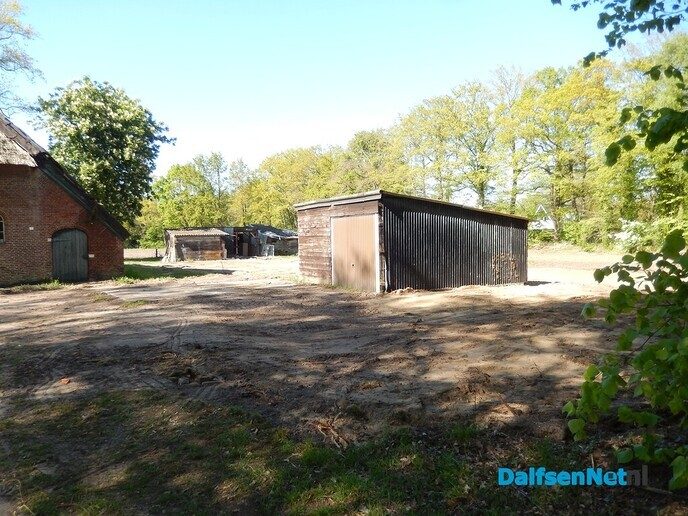 Het terrein is al behoorlijk opgeschoont - Foto: Willy