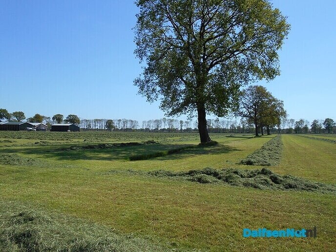 Drukte op de landerijen rond Dalfsen, ook tot laat in de avond