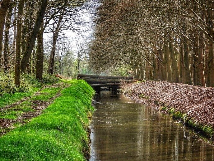 Femmie heeft de Horte ontdekt en flink van genoten - Foto: Femmie Smink