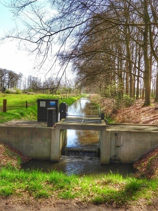 Femmie heeft de Horte ontdekt en flink van genoten - Foto: Femmie Smink