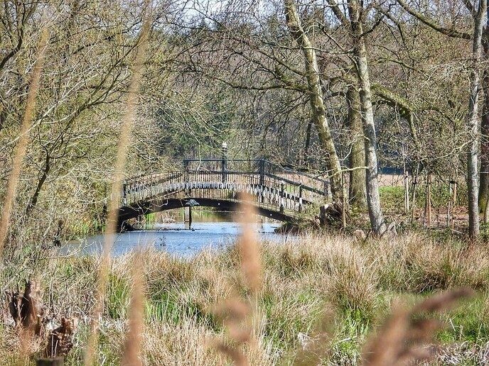 Femmie heeft de Horte ontdekt en flink van genoten - Foto: Femmie Smink