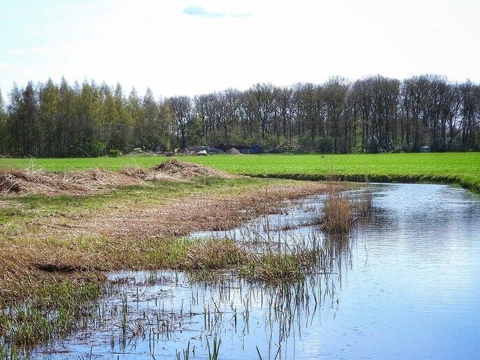 Femmie heeft de Horte ontdekt en flink van genoten - Foto: Femmie Smink