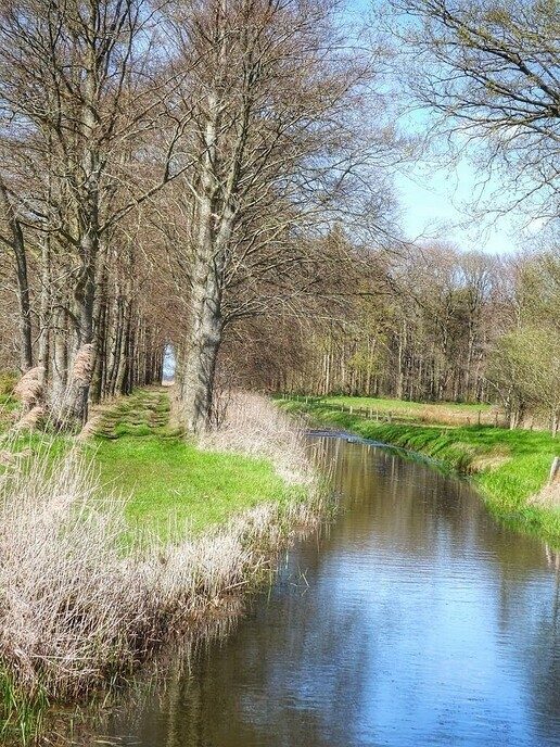 Femmie heeft de Horte ontdekt en flink van genoten - Foto: Femmie Smink