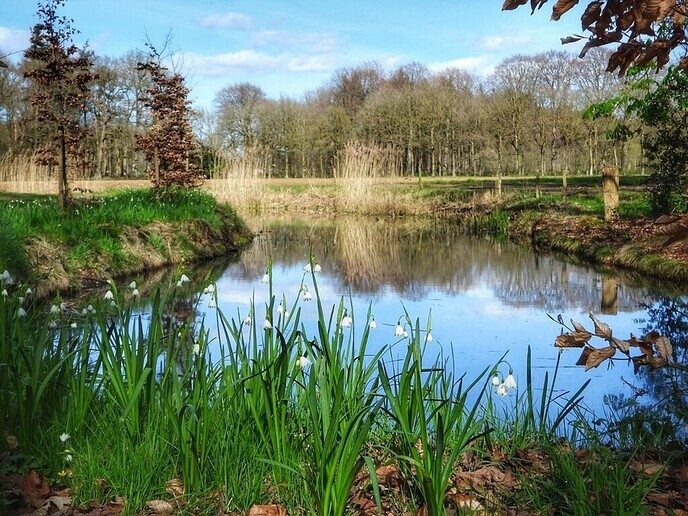 Beelden van landgoed De Horte - Foto: Femmie Smink