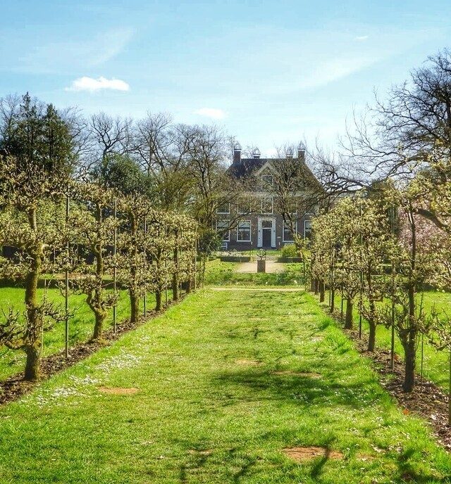 Beelden van landgoed De Horte - Foto: Femmie Smink