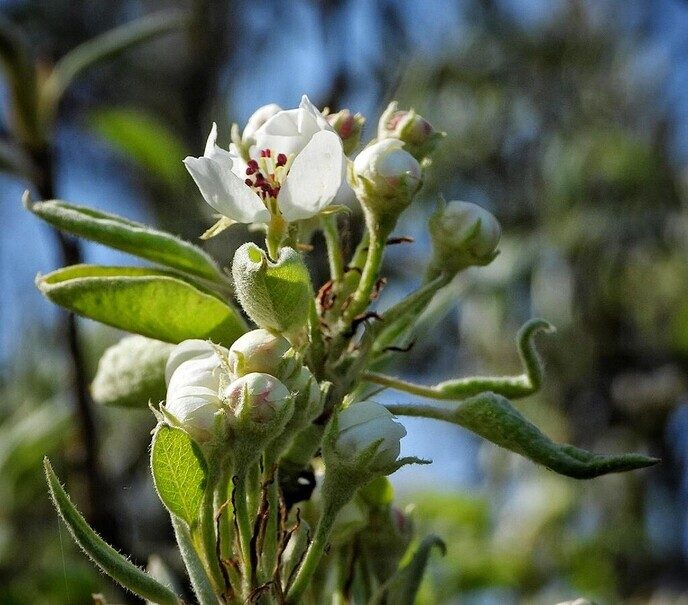 Beelden van landgoed De Horte - Foto: Femmie Smink