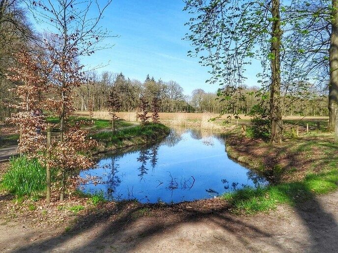 Beelden van landgoed De Horte - Foto: Femmie Smink