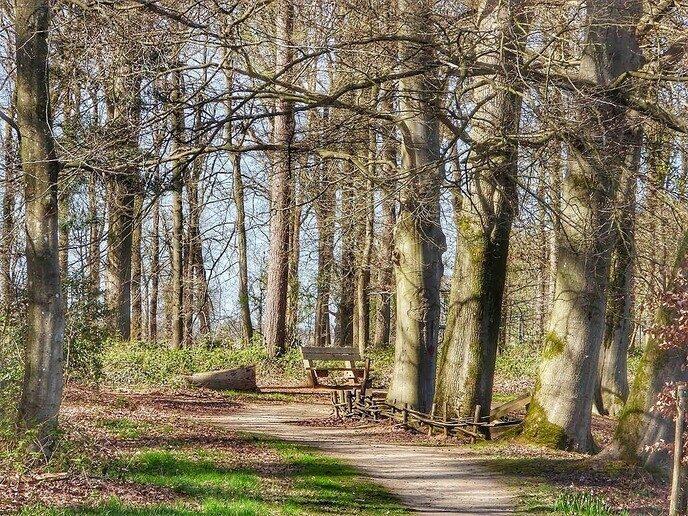 Beelden van landgoed De Horte - Foto: Femmie Smink