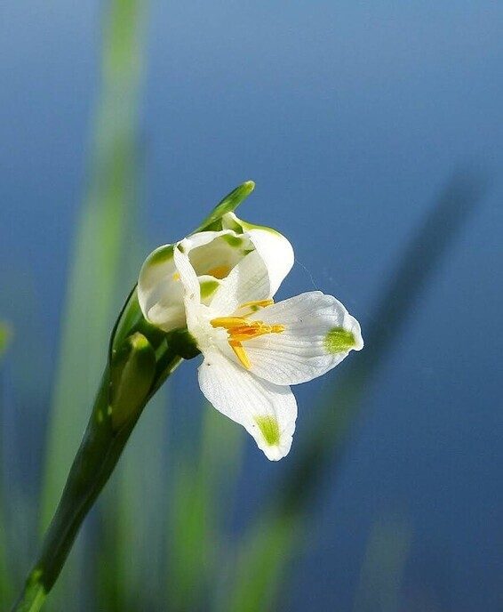 Beelden van landgoed De Horte - Foto: Femmie Smink