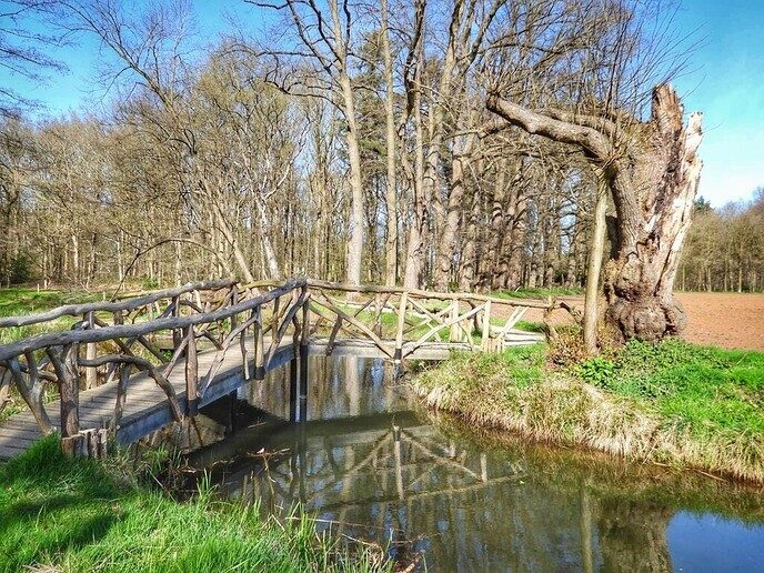 Beelden van landgoed De Horte - Foto: Femmie Smink