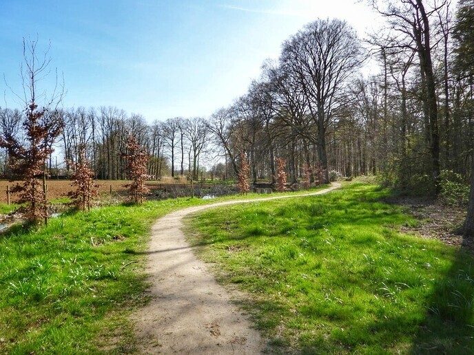 Beelden van landgoed De Horte - Foto: Femmie Smink