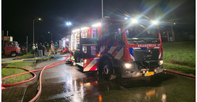 Geen Dalfser bericht maar toch: Help Ro-Enzo uit de brand - Foto: Ingezonden foto