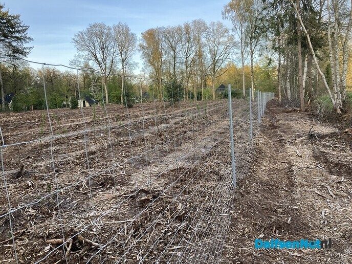 Bomen en struiken achter hekwerk - Foto: Paul Scholten