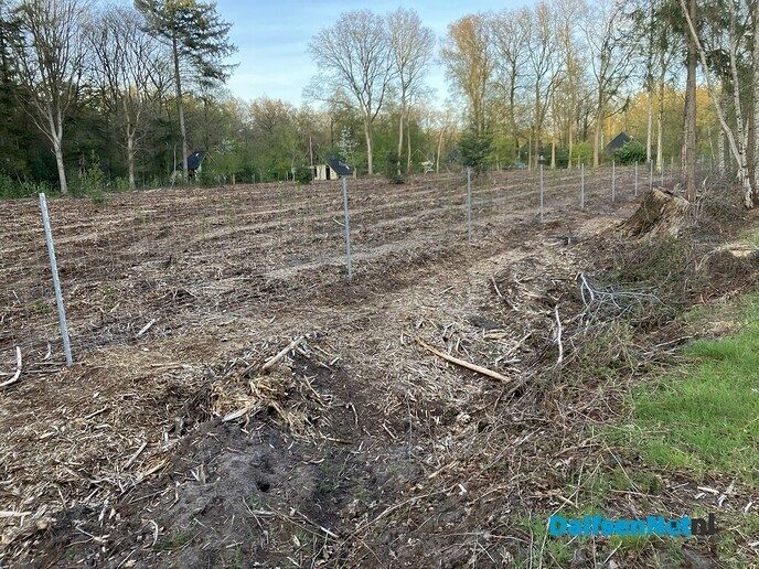Bomen en struiken achter hekwerk - Foto: Paul Scholten