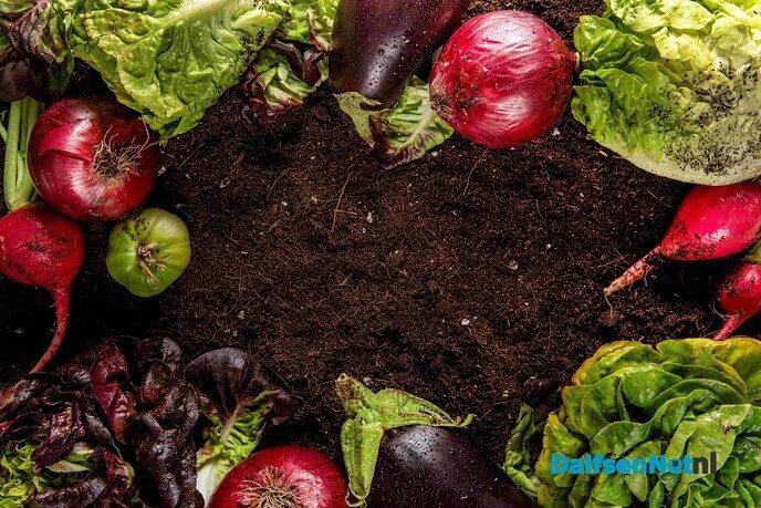 Inspirerende avond over Natuurlijk Moestuinieren - Foto: Ingezonden foto