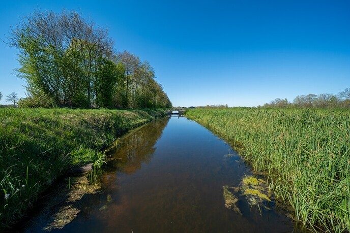 Steeds warmer en neerslag blijft uit - Foto: Ingezonden foto