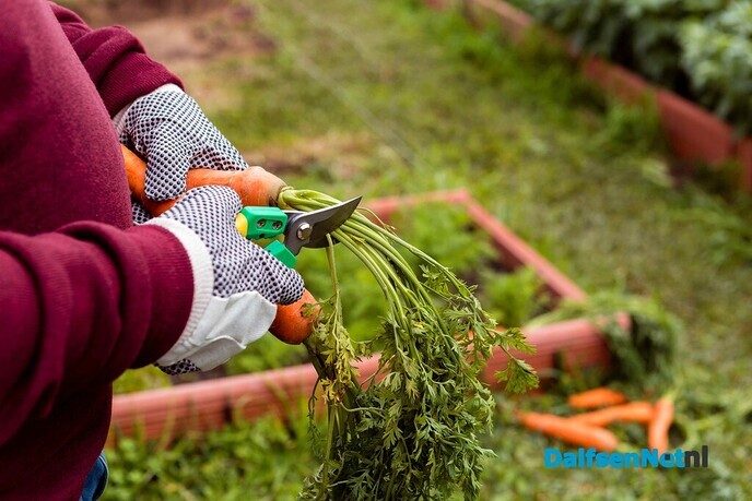 Inspirerende avond over Natuurlijk Moestuinieren - Foto: Ingezonden foto