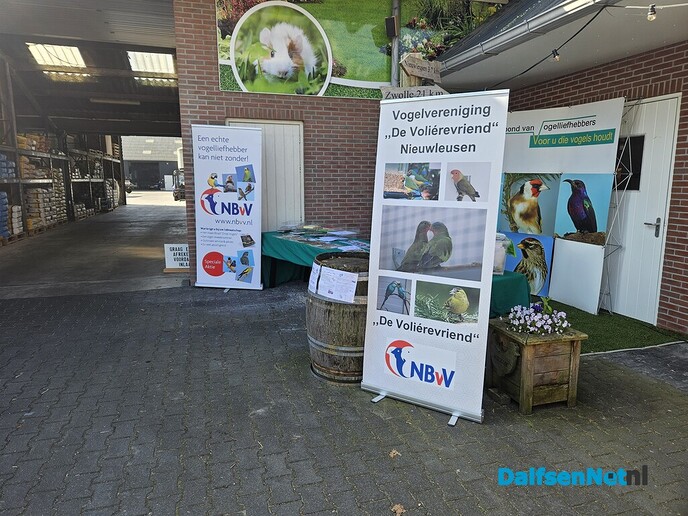 Mei markt molen massier