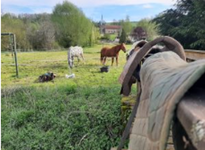 “Een camping van een old-inwoonster uut het Dalfser Em’n.” - Foto: Eigen geleverde foto