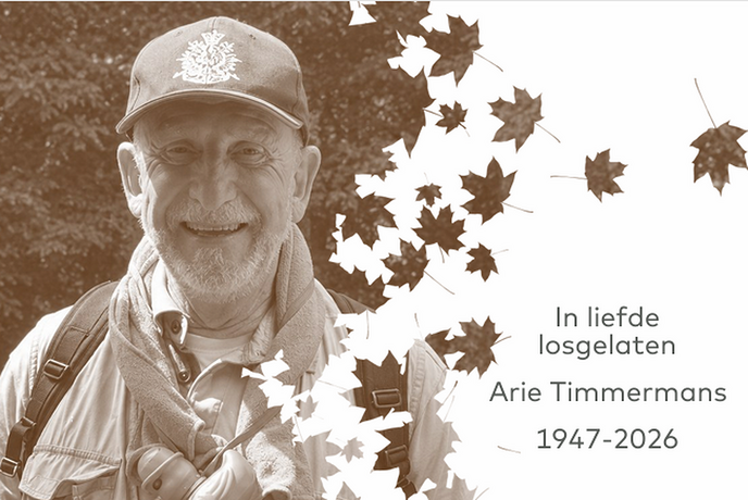 Arie Timmermans