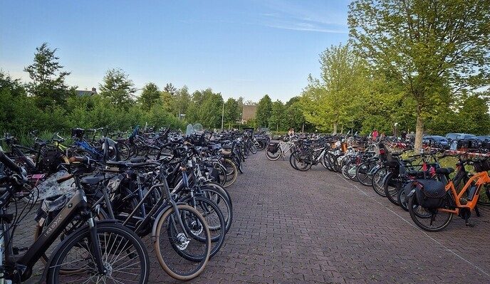 Prachtige slotavond avondwandel 4 daagse Nieuwleusen - Foto: Femmie Smink