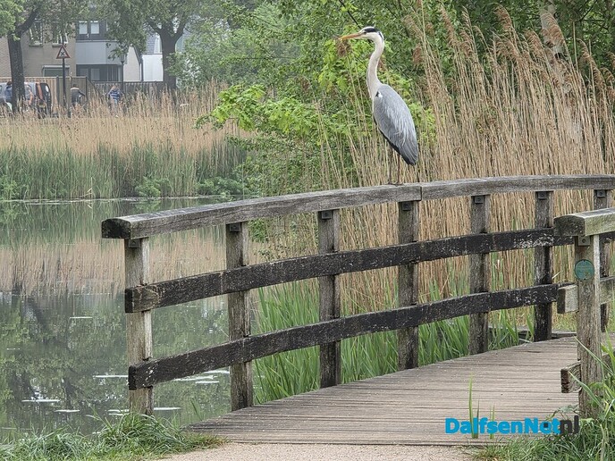 Opgefrist - Foto: Ingezonden foto