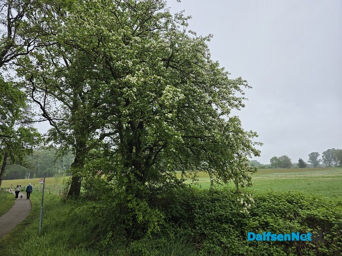 Opgefrist - Foto: Ingezonden foto