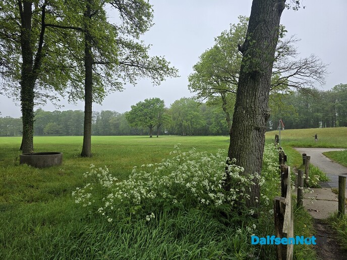 Opgefrist - Foto: Ingezonden foto