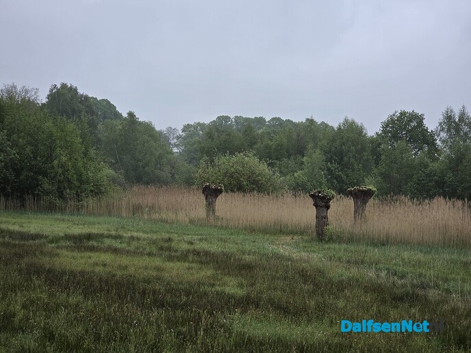 Opgefrist - Foto: Ingezonden foto
