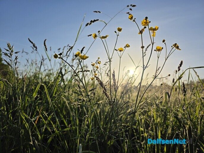 De natuur spreekt zonder woorden - Foto: Ingezonden foto