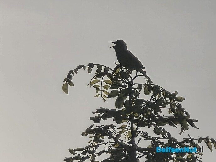 De natuur spreekt zonder woorden - Foto: Ingezonden foto