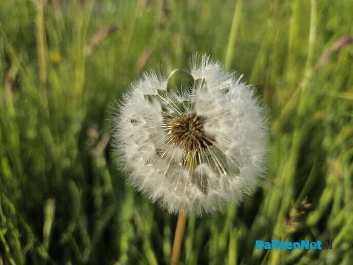 De natuur spreekt zonder woorden - Foto: Ingezonden foto