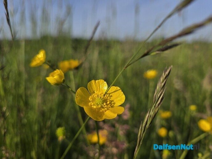 De natuur spreekt zonder woorden - Foto: Ingezonden foto