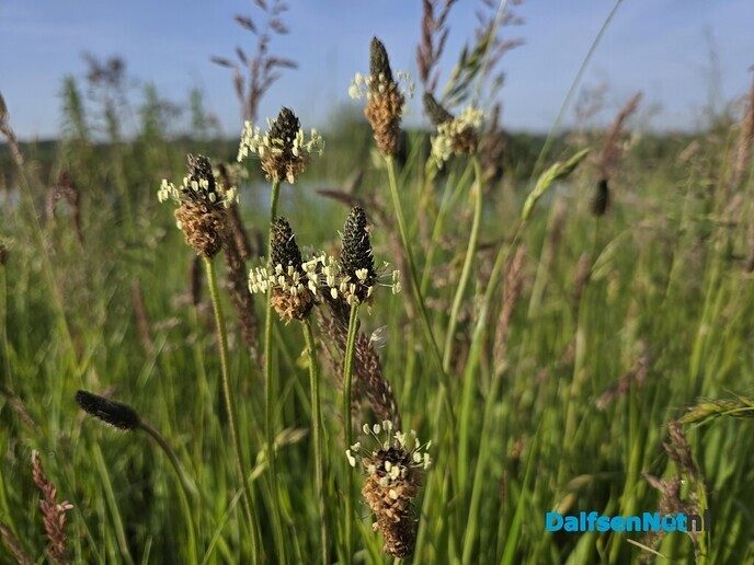 De natuur spreekt zonder woorden - Foto: Ingezonden foto