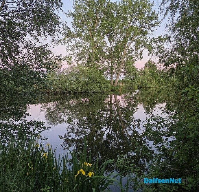 Bellingeweer, fun voor mens en dier - Foto: Ingezonden foto