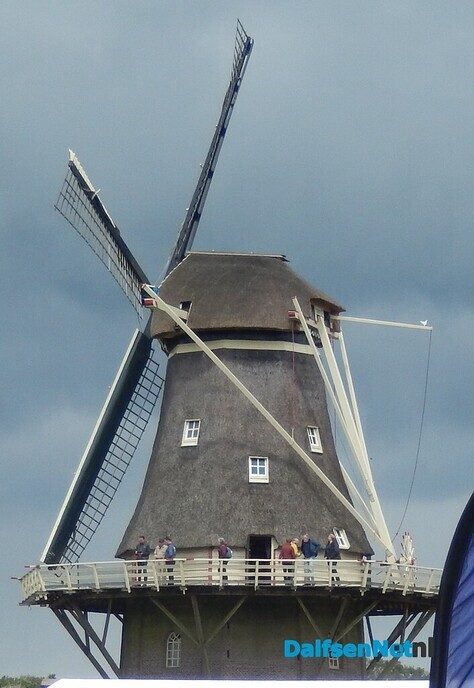 Stralende momenten op de boerenmarkt tijdens een zonnige ochtend - Foto: Willy