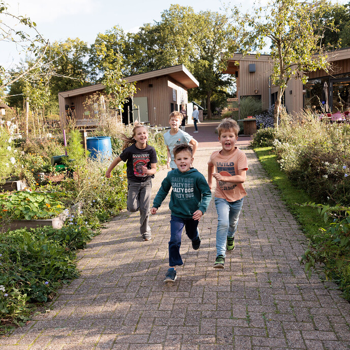 De kracht van ons platteland - Foto: Ingezonden foto
