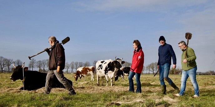 Bijna een kilometer aan voederhagen bij De Hoeven