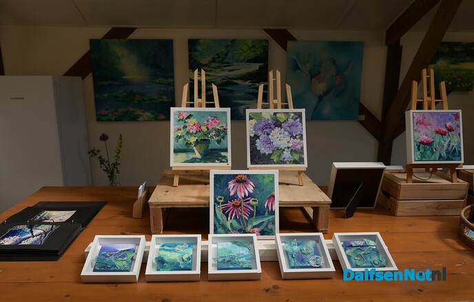 Kunst om Dalfsen, gewoon anders in beeld - Foto: Johan Bokma
