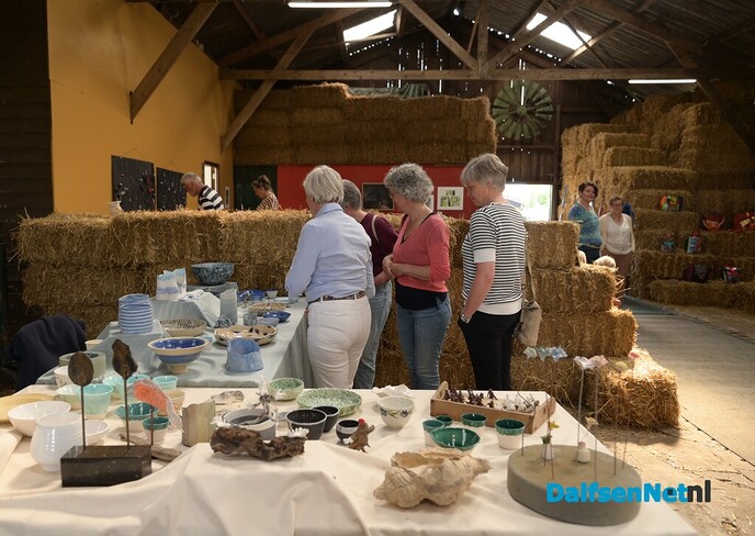 Kunst om Dalfsen, gewoon anders in beeld - Foto: Johan Bokma