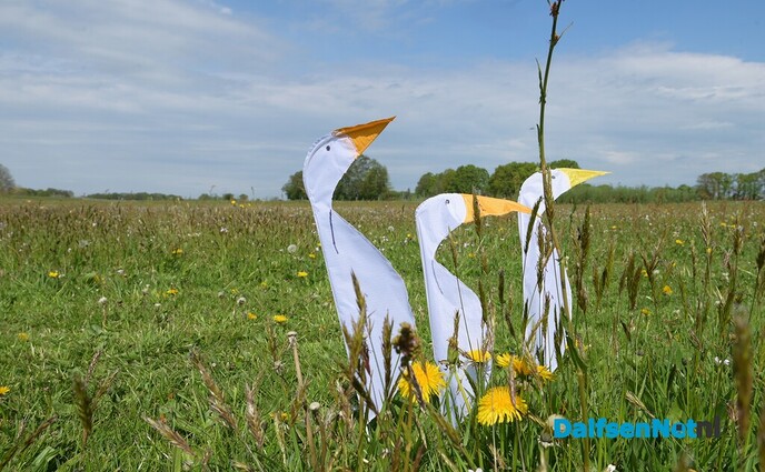 Kunst om Dalfsen, gewoon anders in beeld - Foto: Johan Bokma